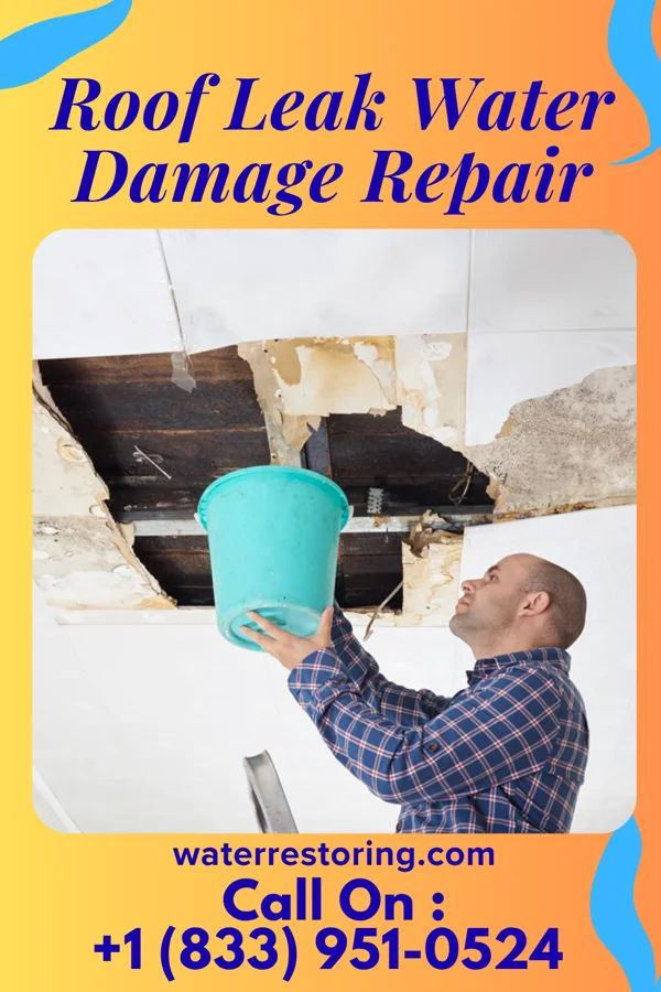 Roof Leak Water Damage Repair in Spring Grove, MN